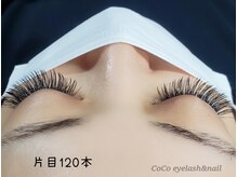 ココ(CoCo)/フラットラッシュ