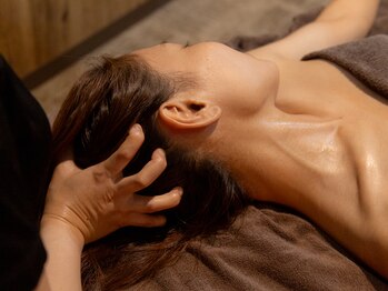 サナティオスパ セントレア(SANATIO SPA CENTRAIR)/◆オプション限定＊ドライヘッド