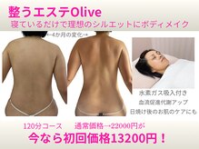 オリーブ(Olive)