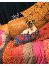 ネイルアンドボディケアサロン ミリミリ(milimili)&nbsp;磯部 宏美