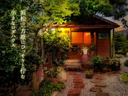 グリーンビューティーカイロの写真