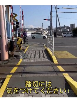 ヴィヴィッド グロウ(VIVID GLOW)/★道案内★静鉄電車《柚木駅》