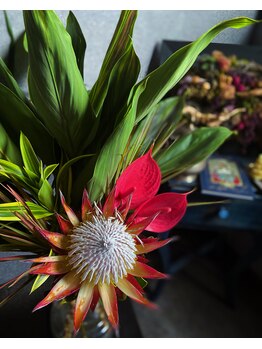 ブラックボックス(BLACK BOX)/BLACKBOXのお花