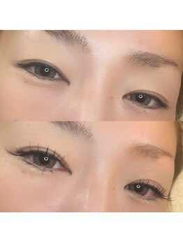 ルッカ(lucca)/フラットラッシュ140本