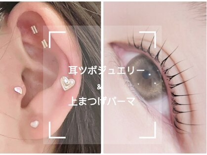 ブリランテの写真