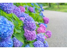 ソラ(sora)/梅雨入り/雨降りの月曜日