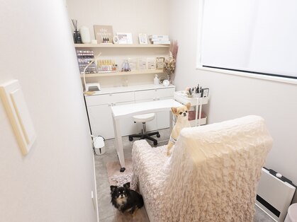 プッコネイル(puuko nail)の写真