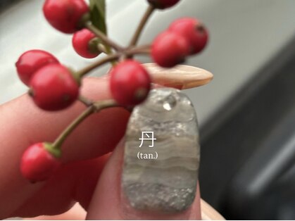 丹(tan.)の写真