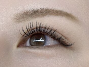 ルチア(Lucia)/バインドロック80束