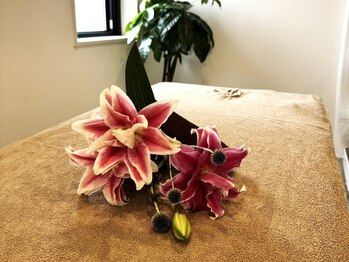 ピョル(Byeol)の写真/《中地インターおりて5分◎》韓国美容が一つに詰まった最新肌管理Hy Peel intoで理想の美肌に！