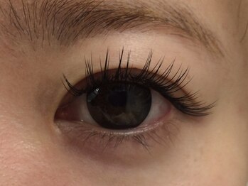 シュシュ(chou chou)/セーブル120本(chouchou吉祥寺)