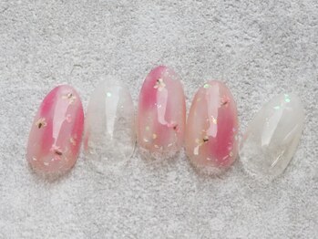 プレミアムプラスコース