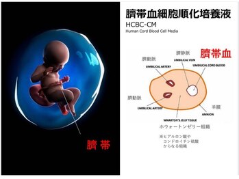 リベル 名古屋(Lebelle:)/最上級最高級のハーブピーリング