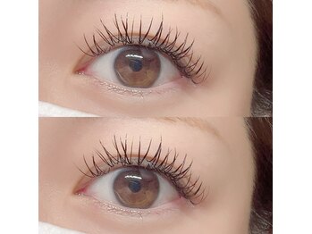 フーフロー(Fooflow)/パーフェクトラッシュ80束