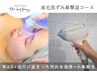 ≪いちご鼻*産毛タイプ撃退≫Wax◆毛穴洗浄◆小鼻LED脱毛〈鼻単品〉