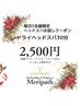 【毎日3名様限定】おためしドライヘッドスパ30分2,500円