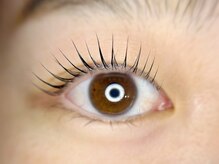 ポレポレ(polepole)/パリジェンヌラッシュリフト