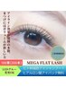 【ご新規】メガフラットラッシュ１００束(300本) 9500円 ボリューム◎