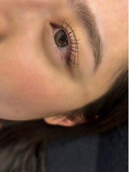 エル ソル(El sol)/Up force lift