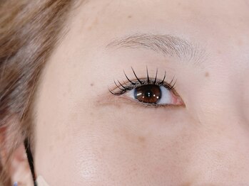 ベルード(veludo)/