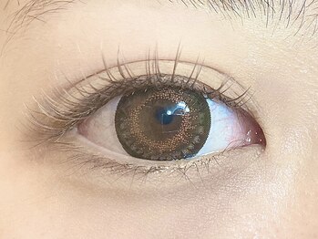 ローラント(LAURENT)/ブラウンフラットラッシュ 160本