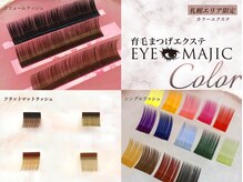 独自のカラーバリエ【カラー変更(シングル/フラット)+500円】【カラー変更(ボリュームラッシュ)+1500円】