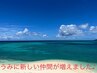 【デビュー応援クーポン☆もみほぐし３０分＆ヘッドスパ30分】　￥4400