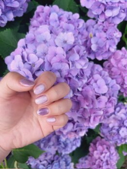 シーズネイル(She's Nail)/