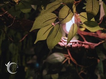 森の雨やどり 天神店の写真/極上のドライヘッドスパで日々の疲れを和らげる☆駅チカ＆22時まで営業♪寝不足や眼精疲労、肩こりも緩和！