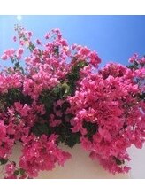 リラクゼーション アロエ&nbsp;野上 弘子