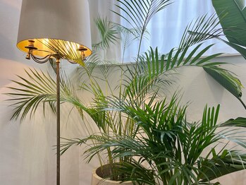 ブルーアイズ 原宿店(BLUE EYES)/原宿店2