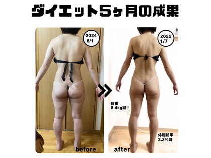 フィカス(FICUS)の写真