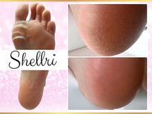 シェルリ 用賀(Shellri)