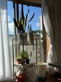 サロンドフォーエイチ(salon de 4H)&nbsp;自宅で観葉植物を育てています！
