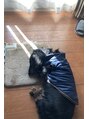 肩こり解消処 ハンモック 早稲田店(Hammock) いつもここでお昼寝している愛犬です。