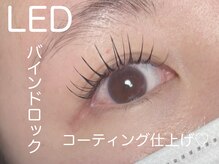 キャットウィンク(catwink)/LEDバインドロック　100束　