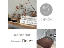 ティエルプラス(tiele+)