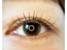 カシェ(cache)/秋カラーデザイン