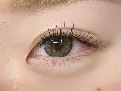 グリッター(GLITTER)の写真