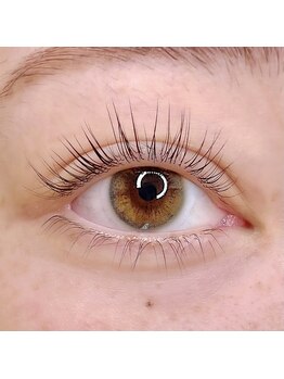 ヴィフ(Vif)/パリジェンヌラッシュリフト