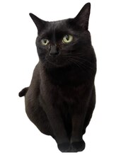 トータルセラピー リッチ(Rich) 内村 ルナ