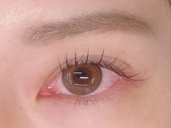 インザピンクリリー(in the pink LILY)/フラット120本