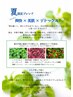 【数量限定★夏限定ハーブ】よもぎ蒸し(40分)＋よもぎ茶付　6,500円⇒5,400円
