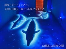 仙豆のちから x ドクターリセット 川越店(Dr.Reset)