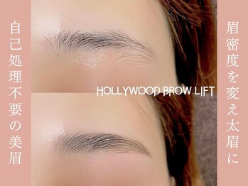 アイラッシュサロン ヴィヴィ 豊橋店(Eye Lash Salon Vivi)/【 Hollywood Brow Lift 】