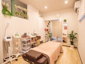 ハッチー(Hacchi)/施術台