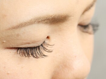 アイラッシュサロンプテリ (EYELASH SALON PUTERI)/上まつ毛エクステ付け放題