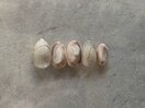 11.綺麗めニュアンス定額C