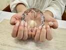 定額　貝殻　ぷっくり