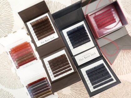 ベリンダ24(BELINDA24)の写真